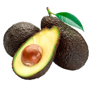 AGUACATE