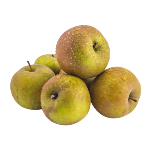 MANZANA TABARDILLA