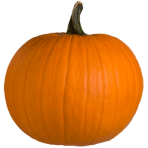CALABAZA